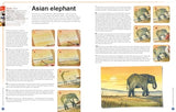 Ready to Paint in 30 Minutes: Animals in Watercolour: Build your skills with quick & easy painting projects - Retail Maharaj