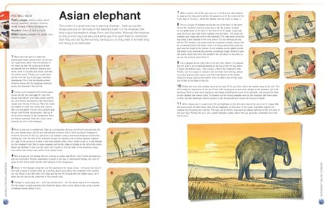 Ready to Paint in 30 Minutes: Animals in Watercolour: Build your skills with quick & easy painting projects - Retail Maharaj
