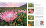 Plants and Fungi: The Definitive Visual Guide - Retail Maharaj