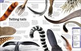Animal Knowledge Genius!: A Quiz Encyclopedia to Boost Your Brain - Retail Maharaj