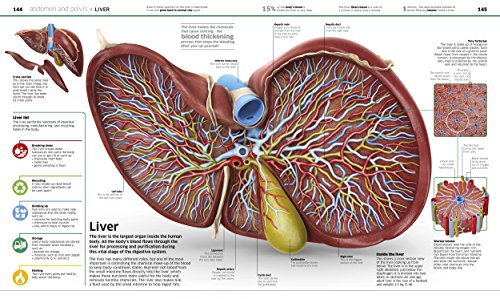 Knowledge Encyclopedia: Human Body!: Your Amazing Body As You've Never Seen It Before - Retail Maharaj