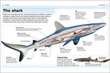 Pocket Eyewitness Sharks: Facts at Your Fingertips - Retail Maharaj