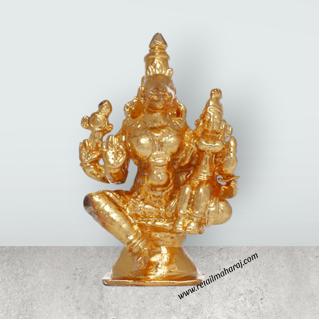 Varaha Lakshmi Sitting On Base - 1.5 x 1.25 Inches | Copper Idol/ Gold Polish Lakshmi Varaha Murti for Pooja - Retail Maharaj