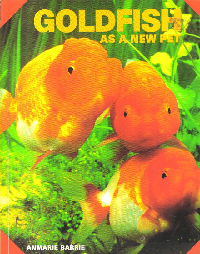 Goldfish as a new pet. - Retail Maharaj