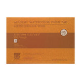Baohong Academy Rough Surface Watercolour Paper Block 300 GSM 100 Percent Cotton - Retail Maharaj
