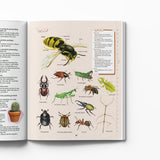 Chambers Junior Illustrated Dictionary - Retail Maharaj
