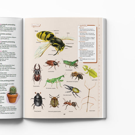 Chambers Junior Illustrated Dictionary - Retail Maharaj