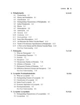 Textbook of Pteridophyta - Retail Maharaj