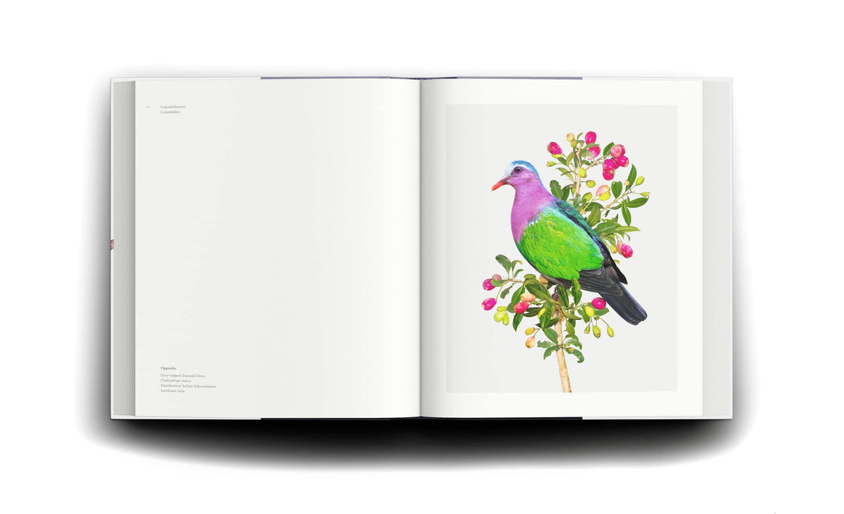 Homage to the Bird - Retail Maharaj