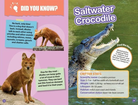 INDIA’S TOP PREDATORS : Wild About India - Engaging Book for Kids (Ages 5-15) - Fun Facts, Trivia Questions and Answers to Teach Your Children about the Animal Kingdom - Retail Maharaj