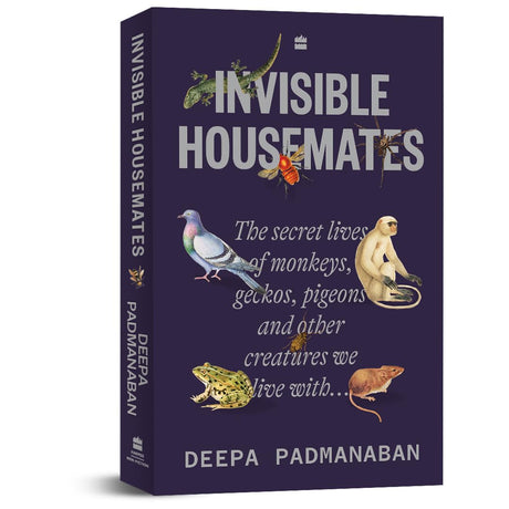 Invisible Housemates - Retail Maharaj