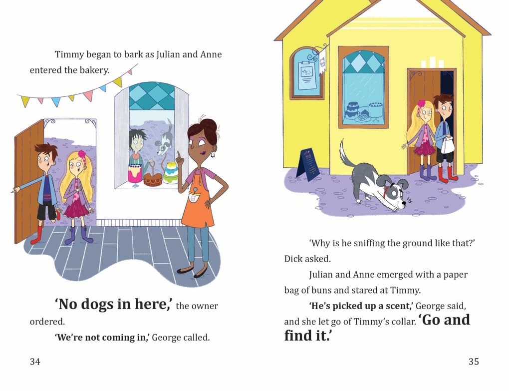FAMOUS FIVE COLOUR SHORT STORIES: FIVE AND THE RUNAWAY DOG - Retail Maharaj