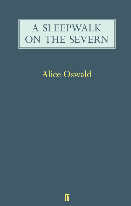 A Sleepwalk on the Severn - Retail Maharaj