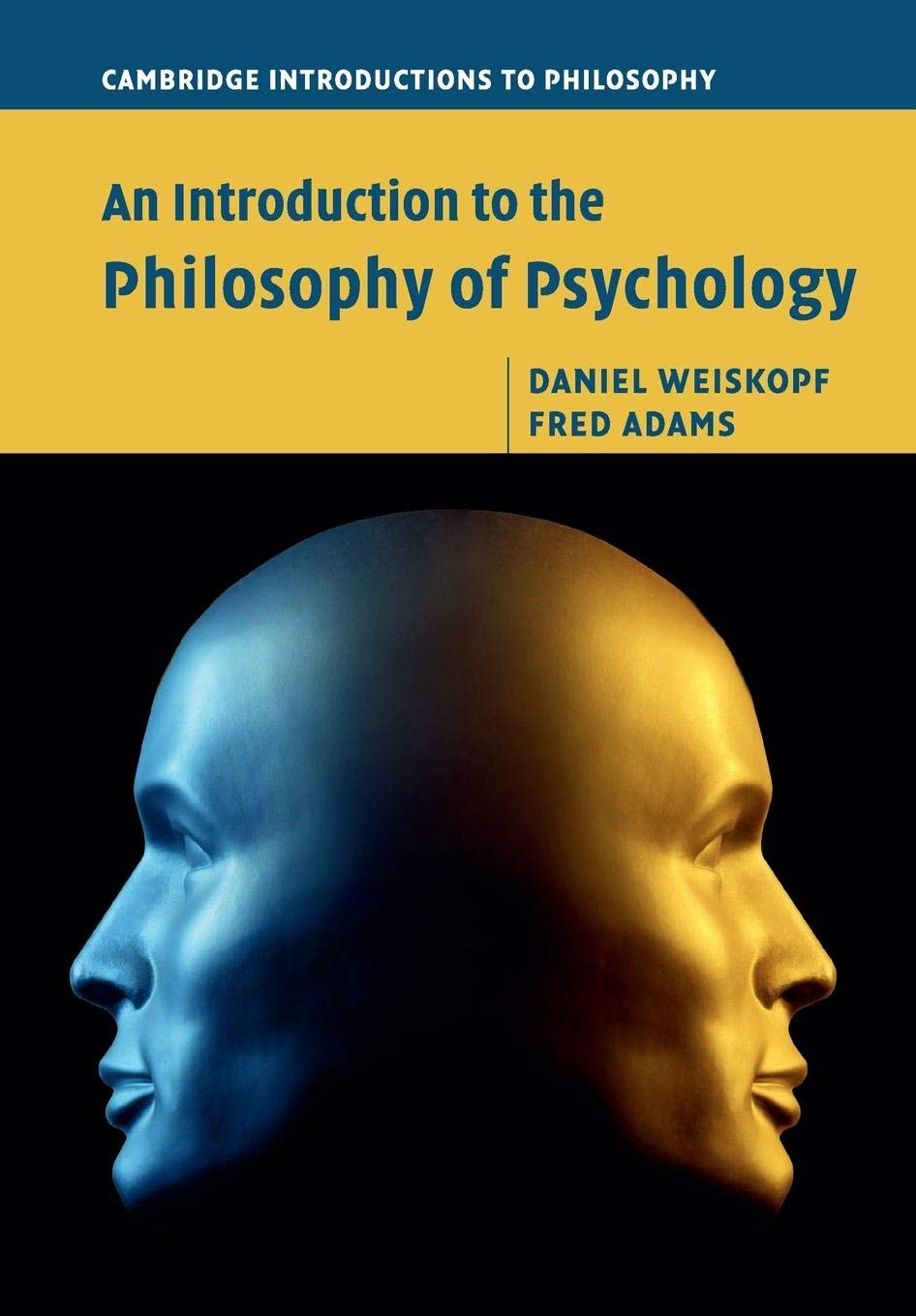 An Introduction to the Philosophy of Psychology (Cambridge Introductions to Philosophy) - Retail Maharaj