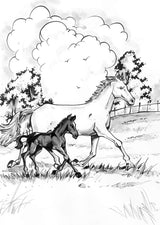 Black Beauty : Illustrated abridged Classics (Om Illustrated Classics) - Retail Maharaj