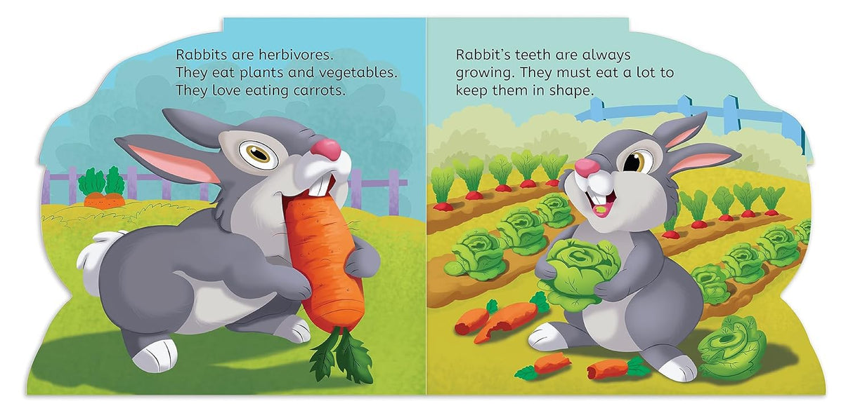 Animals - Shaped Books - Pack of 5 - Retail Maharaj
