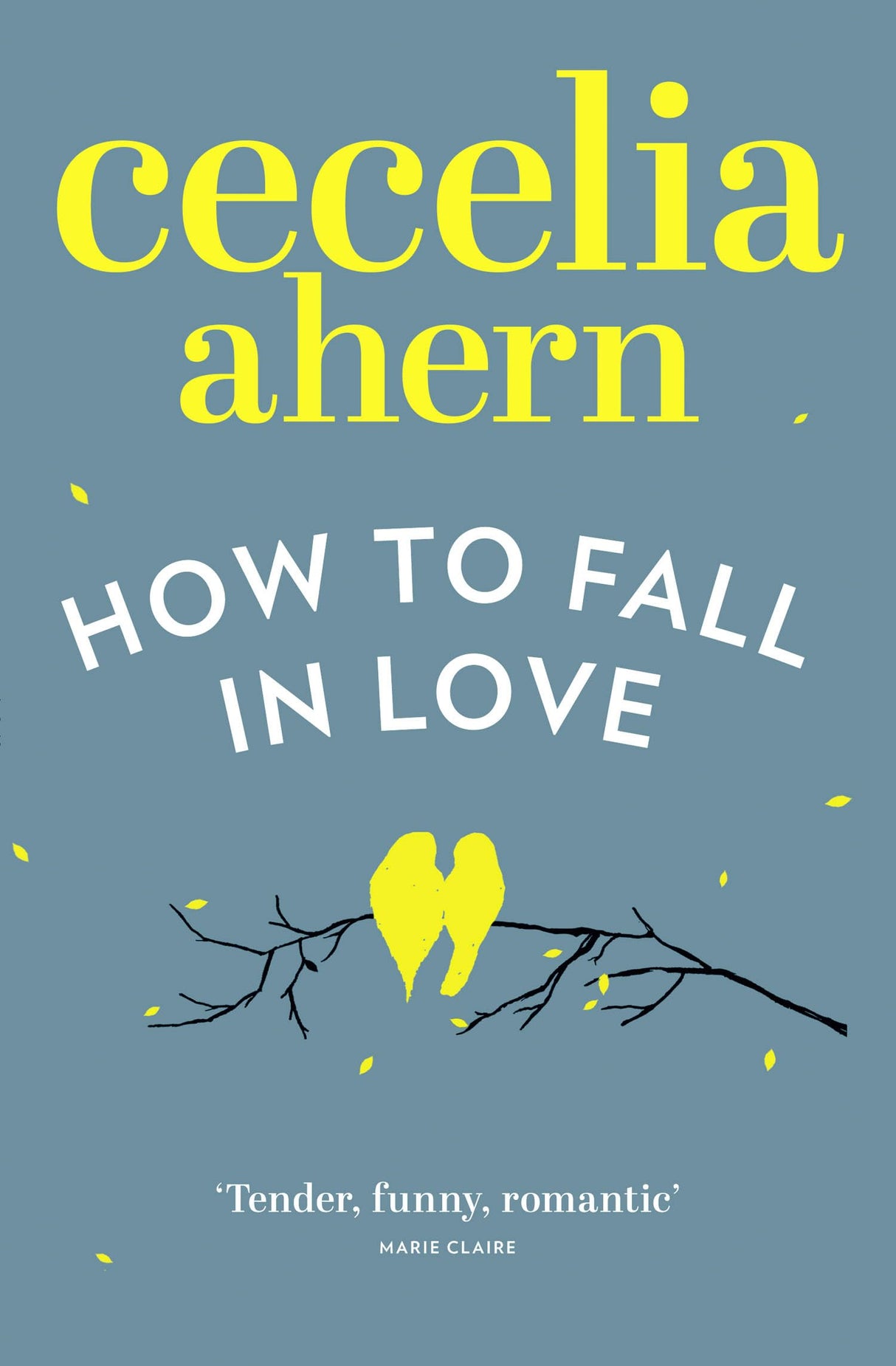 How to Fall in Love: The Oracle: An inspiring, feel-good romantic novel from the international best selling author of PS, I Love You - Retail Maharaj