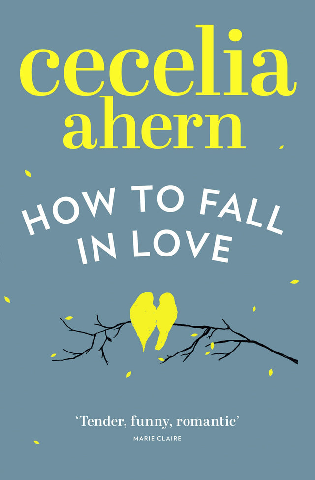 How to Fall in Love: The Oracle: An inspiring, feel-good romantic novel from the international best selling author of PS, I Love You - Retail Maharaj