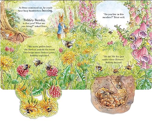 Peter Rabbit: Forest Homes A Peep-Inside Tale - Retail Maharaj
