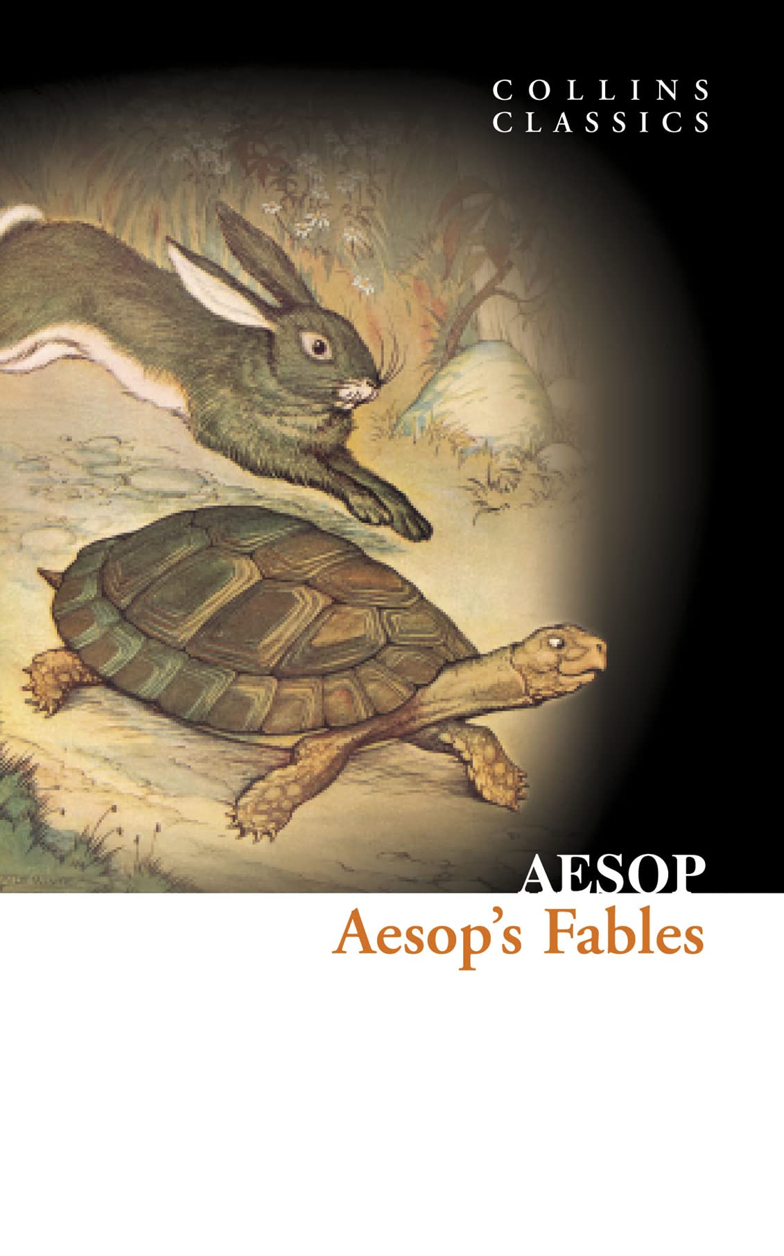 Aesop's Fables (Collins Classics) - Retail Maharaj
