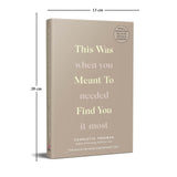 This Was Meant to Find You: When You Needed It Most (English) - Retail Maharaj