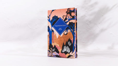 Frankenstein (Vintage Collector's Classics) - Retail Maharaj