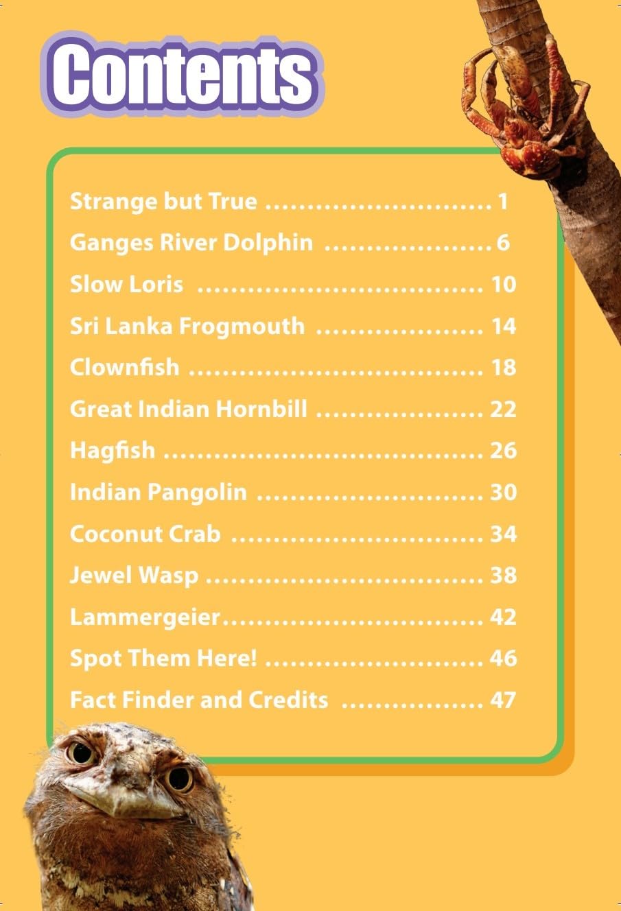 INDIA’S MOST UNUSUAL ANIMALS : Wild About India - Engaging Book for Kids (Ages 5-15) - Fun Facts, Trivia Questions and Answers to Teach Your Children about the Animal Kingdom - Retail Maharaj