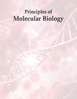 PRINCIPLES OF MOLECULAR BIOLOGY, 2ND EDN - Retail Maharaj