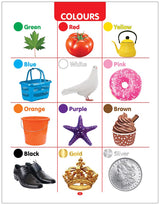 My First All in One Board Book (English): Picture Board Book for Kids | Vibrant and Eye-Catchy Pictures to Fascinate Young Ones | Early Learning Books For Babies, Toddlers & Preschool Kids | Learn Alphabet, Wild Animals, Birds, Nursery Rhymes & More | Age - Retail Maharaj
