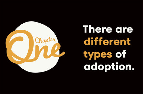 A Kids Book About Adoption - Retail Maharaj