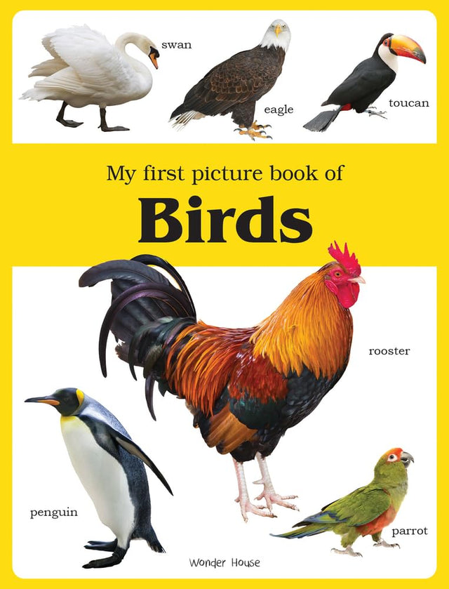 My first picture book of Birds: Picture Books for Children (Picture Books For Kids) - Retail Maharaj