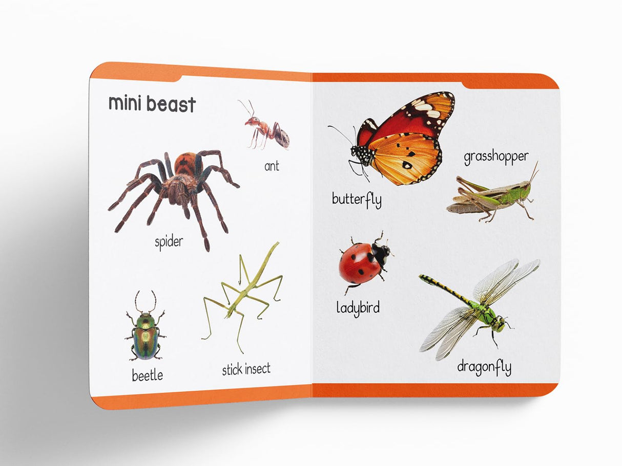 Early Learning Padded Book of Animals: Board Book for Kids | Learn About Wild Animals, Farm Animals, Pets & Birds with Bright, Engaging Pictures | Durable Padded Board Book for Babies, Toddlers & Preschoolers | Ages 0–5 Years - Retail Maharaj
