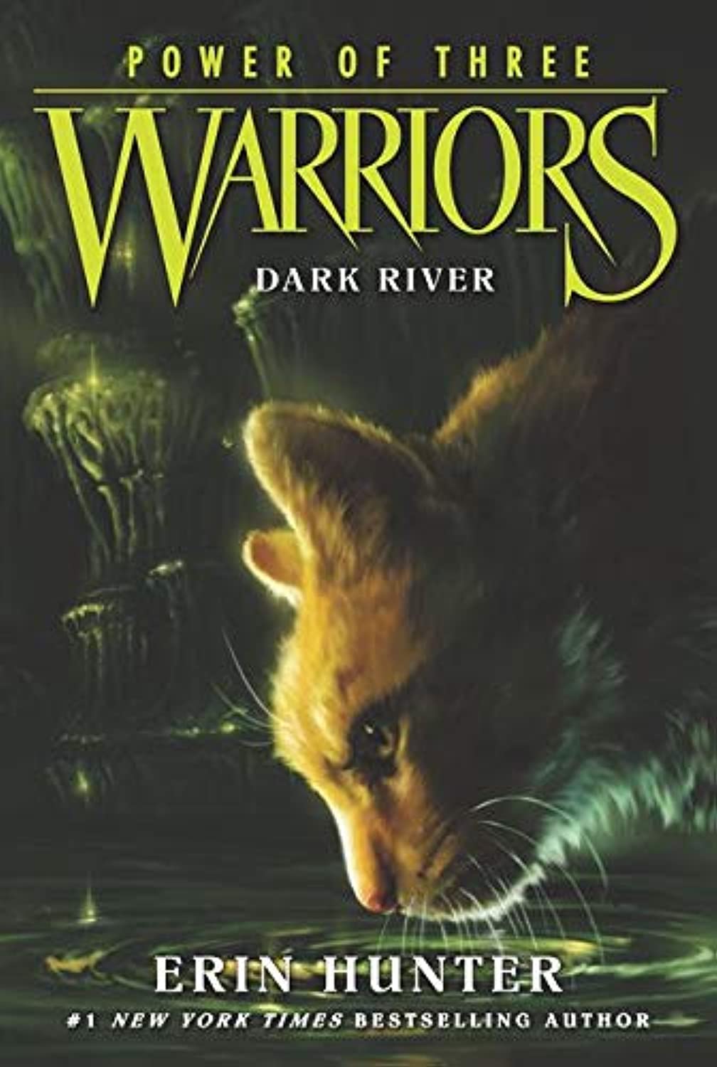 Warriors: Power of Three #2: Dark River - Retail Maharaj