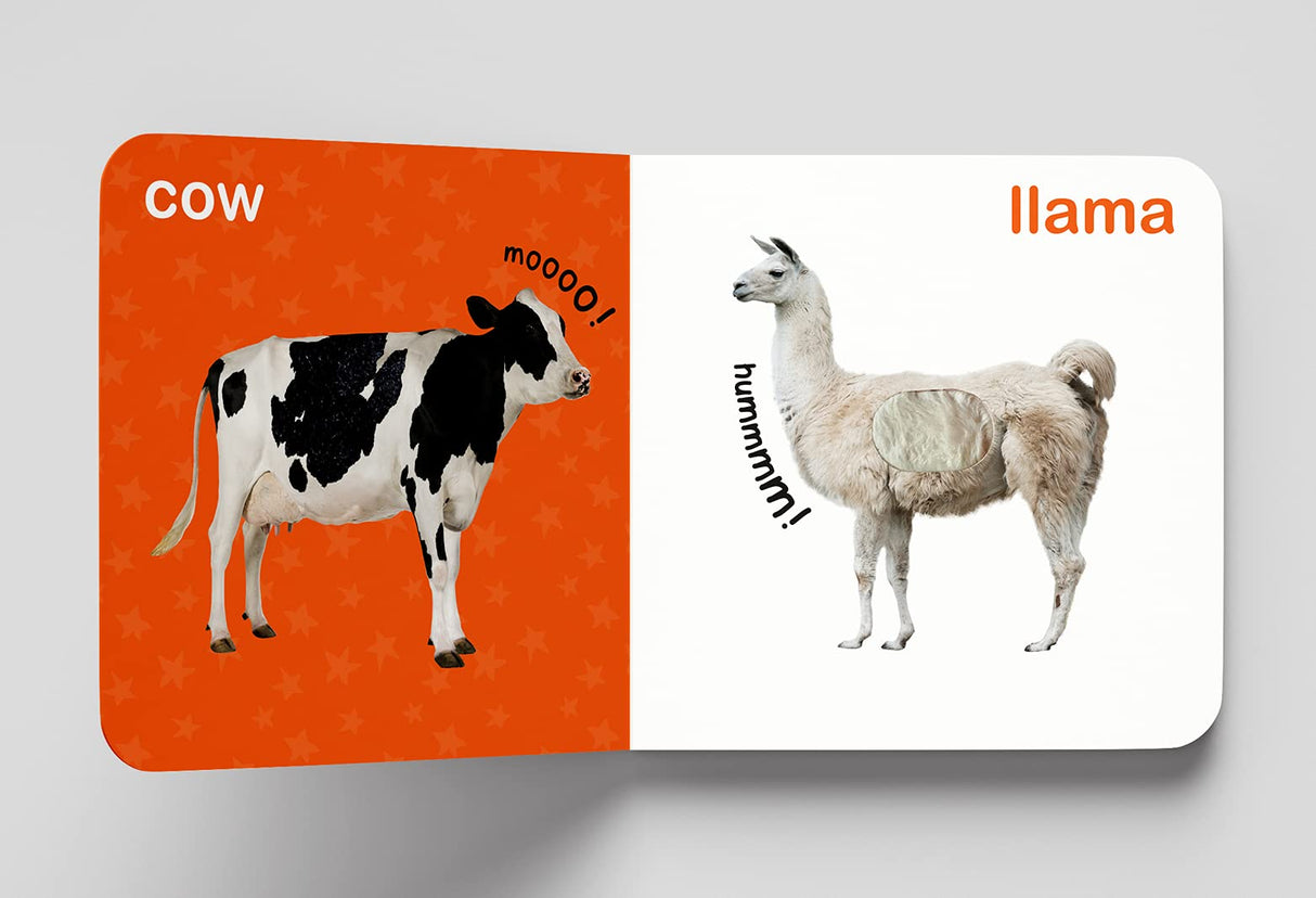 My First Book of Touch And Feel - Pet And Farm Animals : Touch And Feel Board Book For CHildren - Retail Maharaj