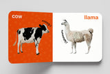 My First Book of Touch And Feel - Pet And Farm Animals : Touch And Feel Board Book For CHildren - Retail Maharaj