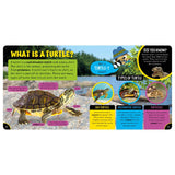 Amazing Turtles - Retail Maharaj