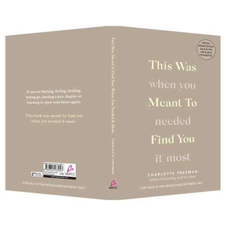 This Was Meant to Find You: When You Needed It Most (English) - Retail Maharaj