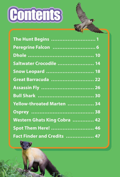 INDIA’S TOP PREDATORS : Wild About India - Engaging Book for Kids (Ages 5-15) - Fun Facts, Trivia Questions and Answers to Teach Your Children about the Animal Kingdom - Retail Maharaj