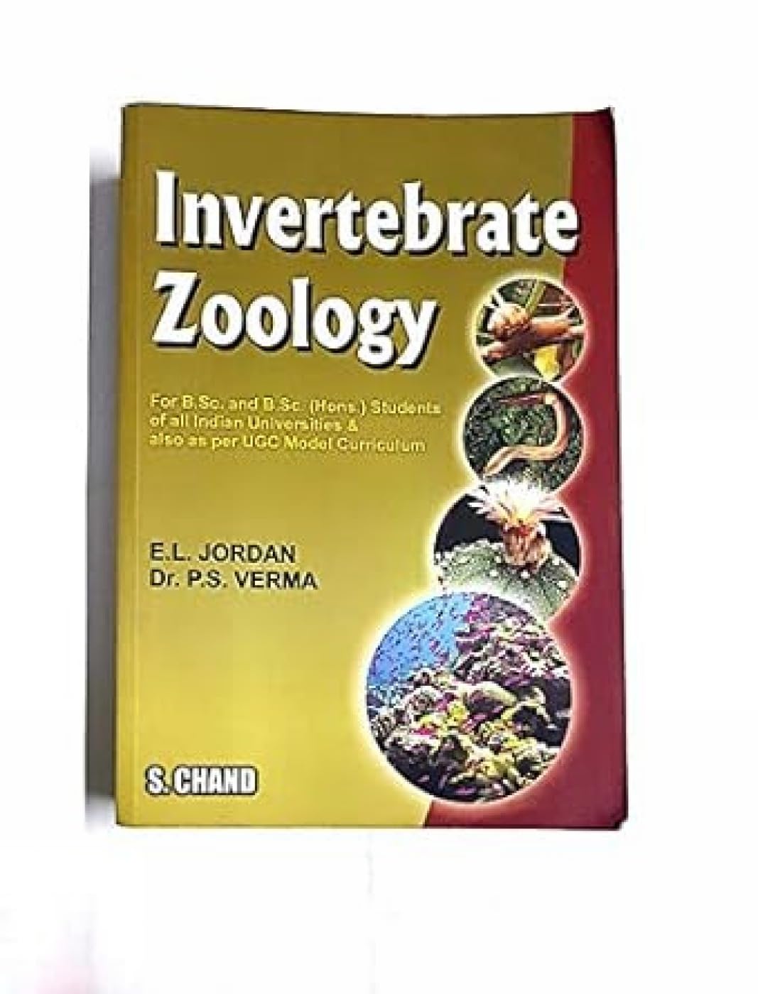 Invertebrate Zoology - Retail Maharaj