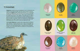 Nests, Eggs, Birds: An Illustrated Aviary - Retail Maharaj