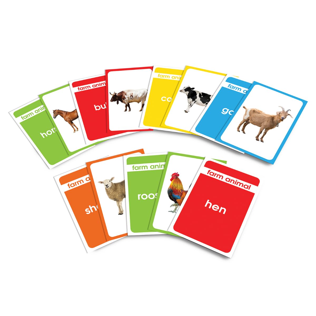 Wonder House Amazing Flash Cards Animals: Early Development Of Preschool Toddler (55 Cards),Creative_Thinking - Retail Maharaj