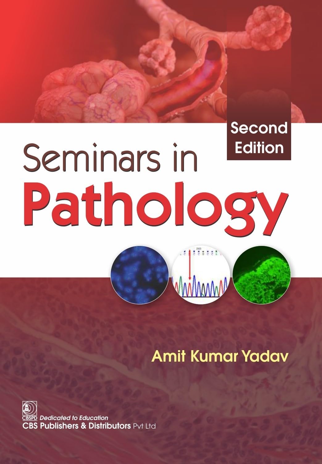Seminars In Pathology 2Ed (Pb 2024) - Retail Maharaj