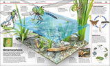 Knowledge Encyclopedia: Science!: Science As You've Never Seen It Before - Retail Maharaj
