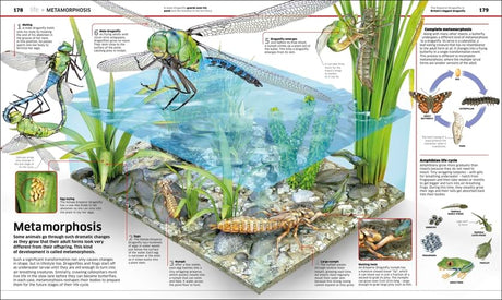 Knowledge Encyclopedia: Science!: Science As You've Never Seen It Before - Retail Maharaj