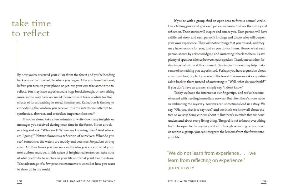 The Healing Magic of Forest Bathing: Finding Calm, Creativity, and Connection in the Natural World - Retail Maharaj