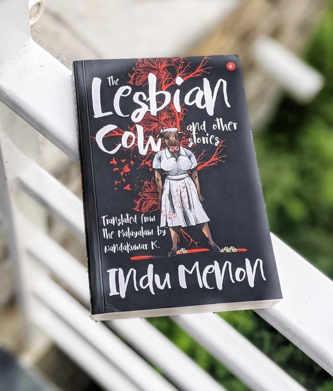 The Lesbian Cow and Other Stories - Retail Maharaj