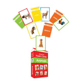 Wonder House Amazing Flash Cards Animals: Early Development Of Preschool Toddler (55 Cards),Creative_Thinking - Retail Maharaj