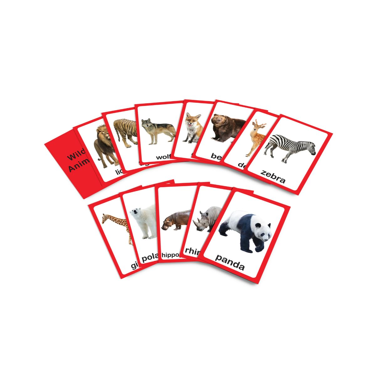 My First Flash Cards: Animals And Birds: 30 Early Learning Flash Cards For Kids - Retail Maharaj
