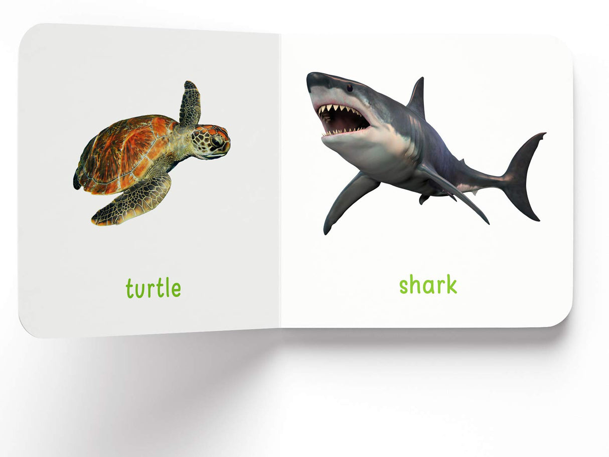 My First Book of Sea Animals | First Ocean Animal Board Book for Babies, Toddlers & Preschoolers | Learn About Fish, Dolphins, Whales & More with Bright Pictures | Early Learning Book for Kids Ages 0-3 Years - Retail Maharaj
