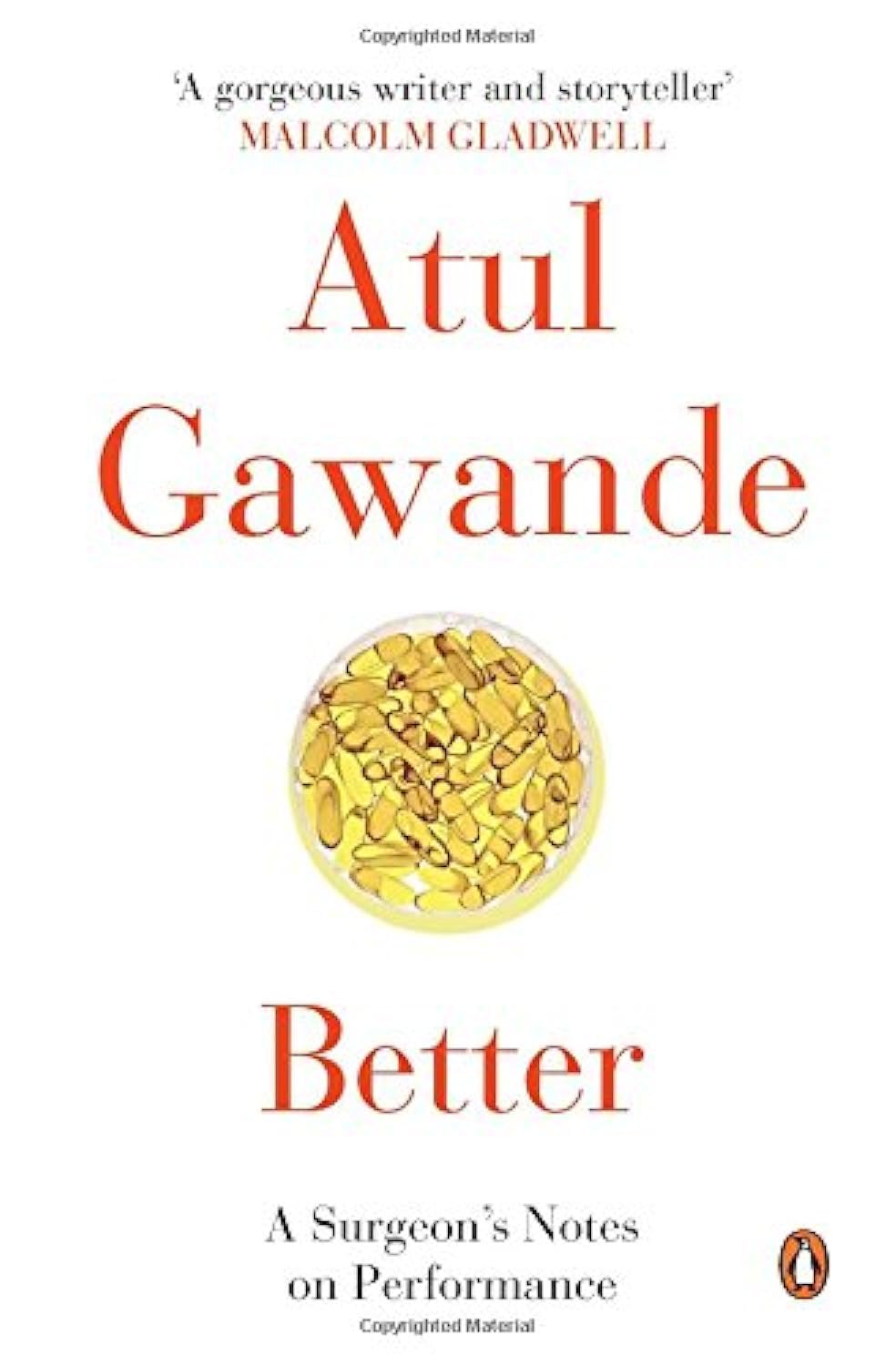 Better: A Surgeon'S Notes On Performance - Retail Maharaj